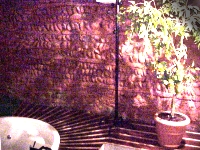 Jacuzzi